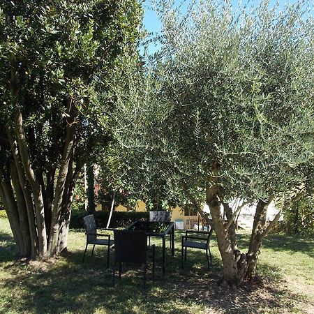Apartmán Il Borghetto San Lorenzo in Campo Exteriér fotografie