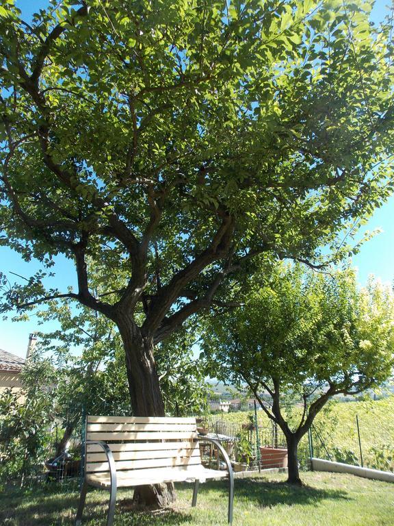 Apartmán Il Borghetto San Lorenzo in Campo Exteriér fotografie