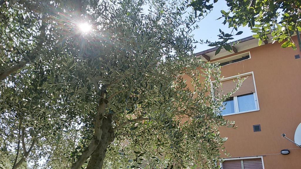 Apartmán Il Borghetto San Lorenzo in Campo Exteriér fotografie